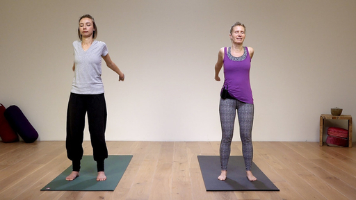 Video thumbnail for: Qigong arm swing