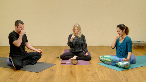 Video thumbnail for: Meditation / pranayama