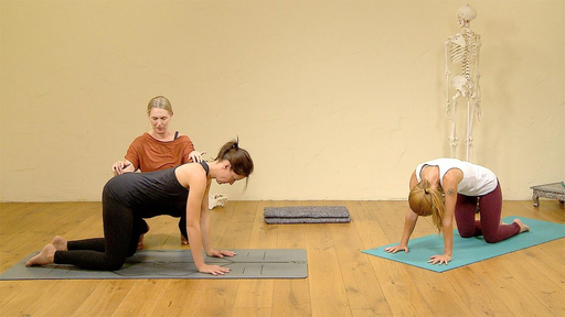 Video thumbnail for: Spinal integrity - finding your curves