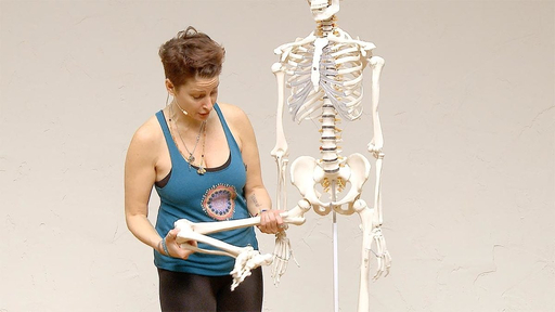 Video thumbnail for: Yoga Anatomy - Anatomical insight on the hip and knee joint