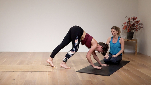 Video thumbnail for: Spinal and core strength routine - intermediate