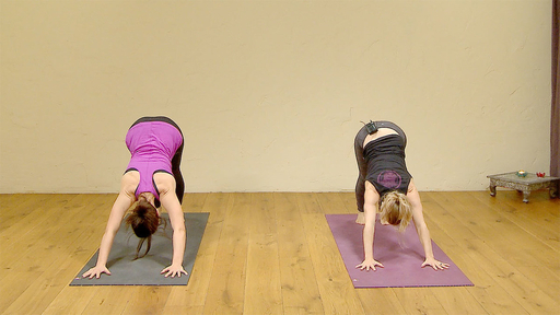 Video thumbnail for: 40 Sun Salutations