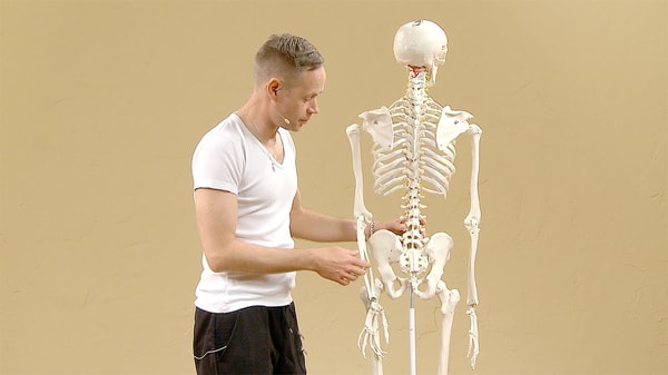 Video thumbnail for: Easing pain in the lower back and sacrum