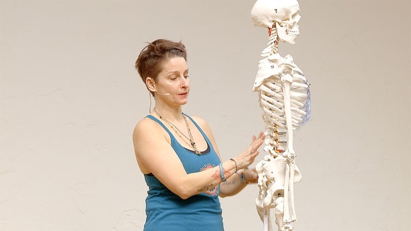 Video thumbnail for: Yoga Anatomy - Anatomical insight on the spine
