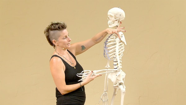 Video thumbnail for: The Skeleton and common Vinyasa Flow injuries
