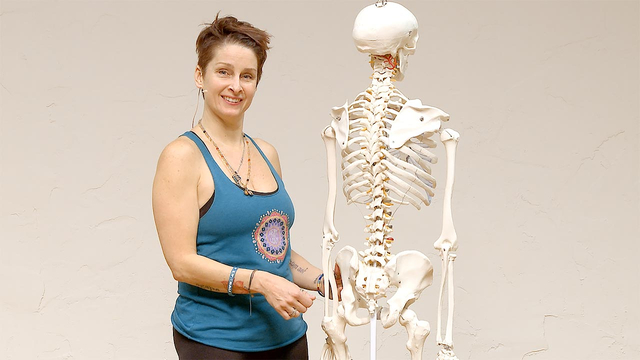 Thumbnail for playlist: Yoga Anatomy
