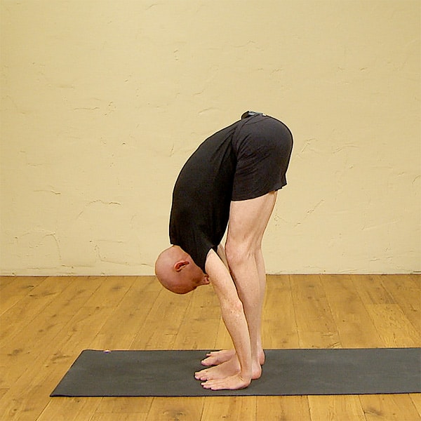 Thumbnail for program: Traditional Hatha Yoga for Beginners