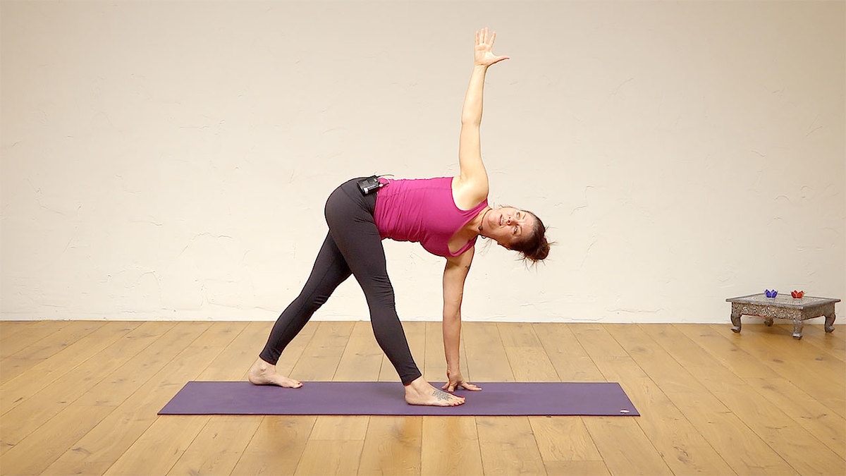 Unfolding Spirals Level 2 | Ekhart Yoga