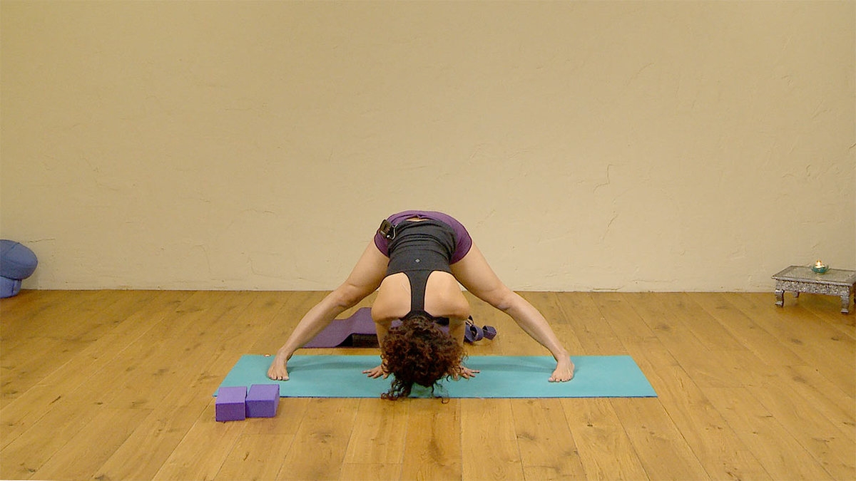 Fundamentals of yoga: forward bends | Ekhart Yoga